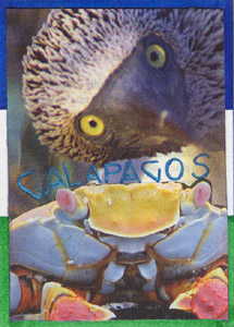 TravelGalapagos