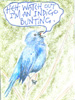 IndigoBunting