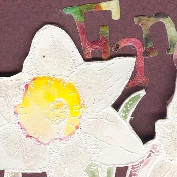 Narcissus_FrontDetail