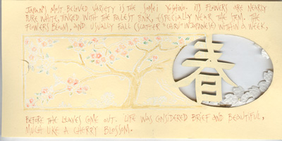 SakuraMatsuri_Inside