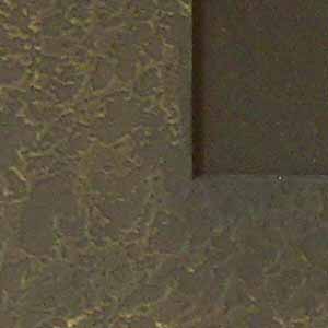 Stampede08 - Dragonfly Mat Detail