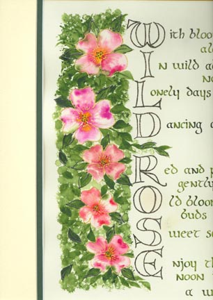 WildRoses1a