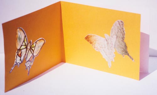 Butterfly Inner