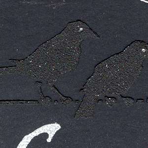 Crows_BlackHBDetail