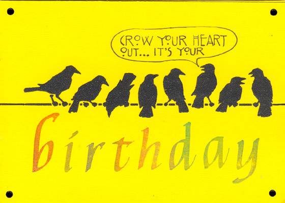 Crows_YellowHB