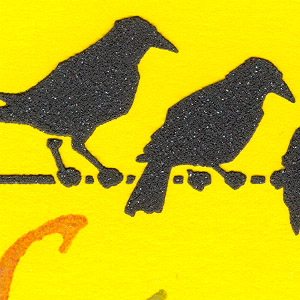 Crows_YellowHBDetail