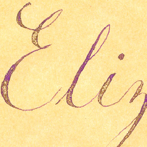 EnvElsDetail1a