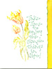 Tulips_TakeTime1T