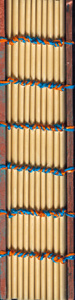 Coptic_Spine