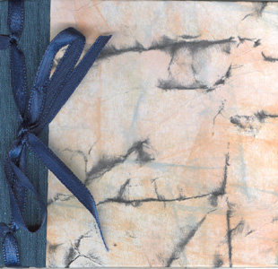 StabBound_BlueDistressed_Cover