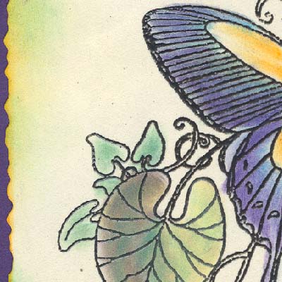 PPBFlyThoughtsDetail1a