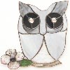 Owl1089219T. border=