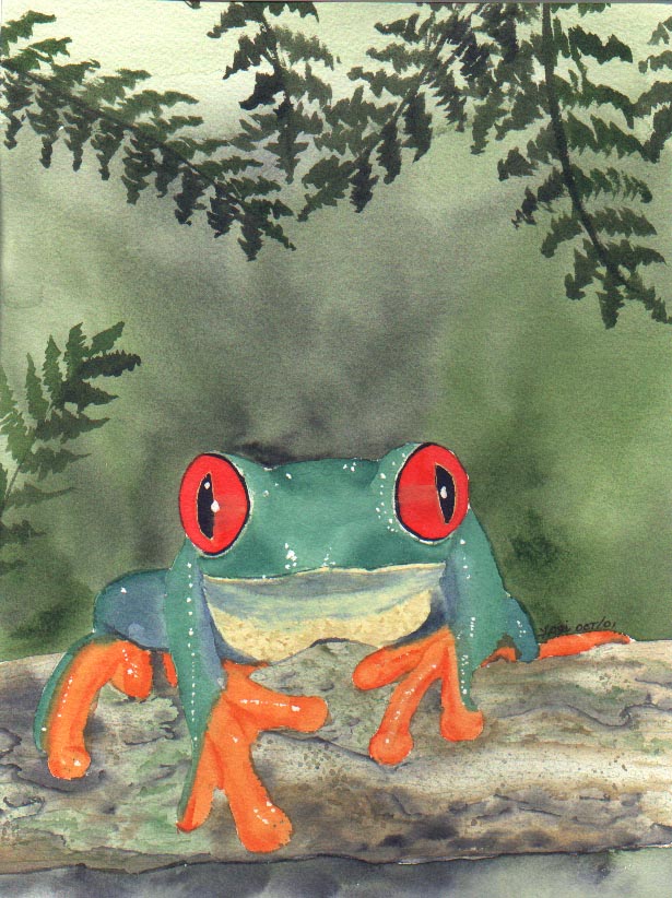 RedEyedTreeFrog