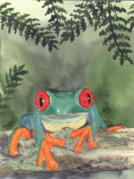 RedEyedTreeFrog